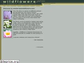 westernpawildflowers.com