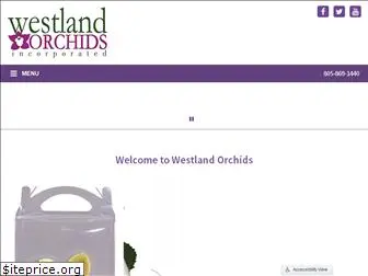 westlandorchids.com