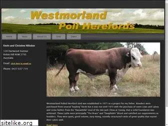 westmorlandpollherefords.com.au