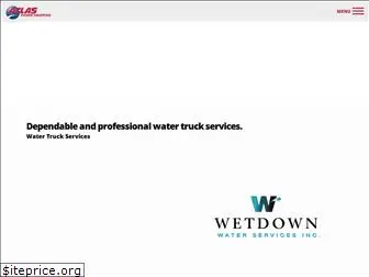 wetdownwaterservices.com