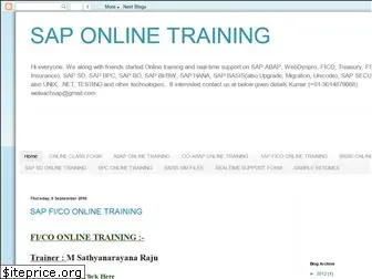 weteachsap.com