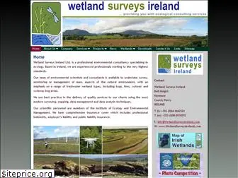 wetlandsurveysireland.com