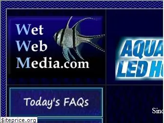 wetwebmedia.com