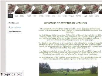 weyaheadbordercolliesnz.com