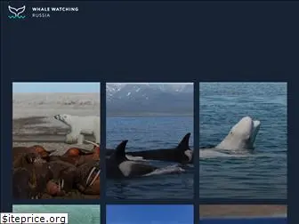 whale-expeditions.com
