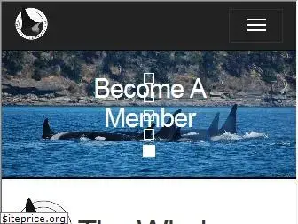 whale-museum.org