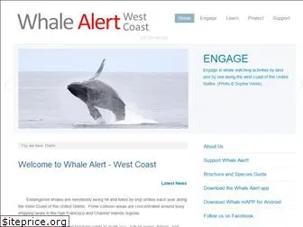 whaleaware.org