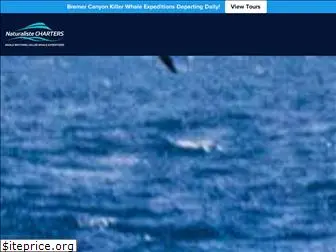 whales-australia.com.au