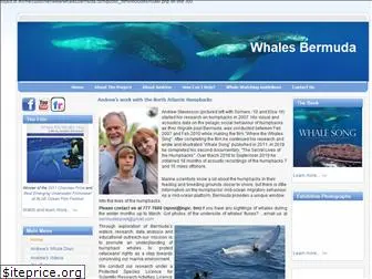 whalesbermuda.com