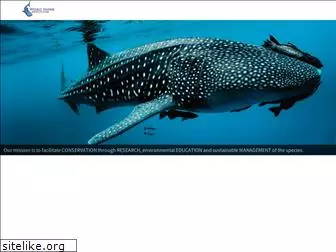 whalesharkmexico.com