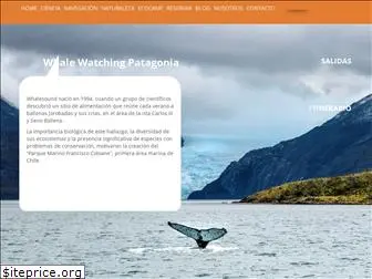 whalesound.com
