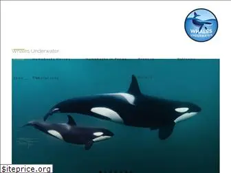 whalesunderwater.com