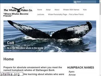 whalevideo.com