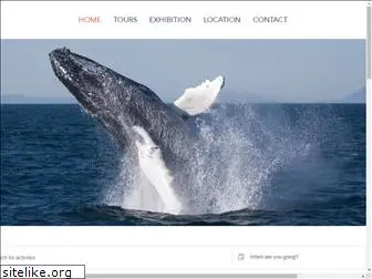 whalewatchingreykjavik.com