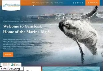 whalewatchsa.com