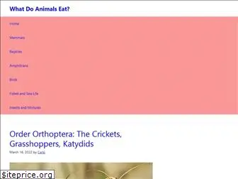 what-do-animals-eat.com