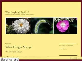 whatcaughtmyeyesite.wordpress.com