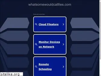 whatsomewouldcalllies.com