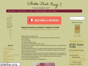 whatsthatbug.com