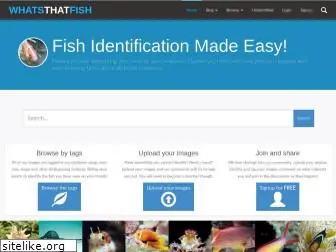 whatsthatfish.com