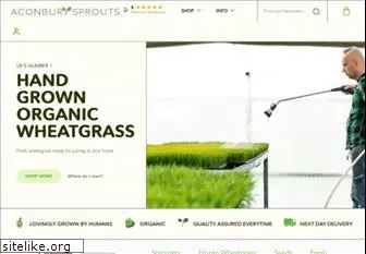 wheatgrass-uk.com