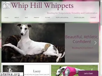 whiphillwhippets.com