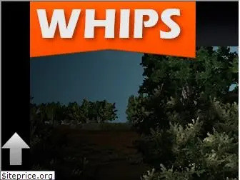 whips-bge.com