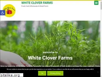 whitecloverfarms.com