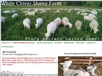 whitecloversheepfarm.com