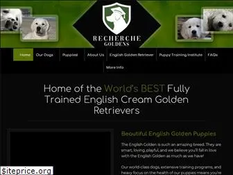 whitegoldenretriever.com