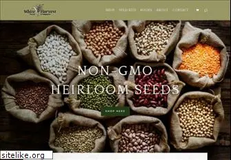 whiteharvestseed.com