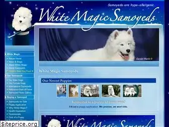 whitemagicsamoyeds.com