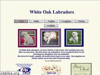 whiteoaklabradors.com
