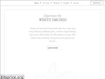 whiteorchidatoasis.com