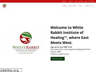 whiterabbitinstituteofhealing.com