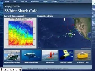 whitesharkcafe.org