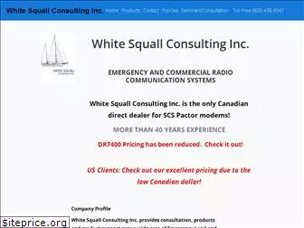 whitesquallconsulting.com