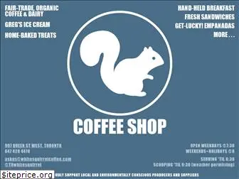 whitesquirrelcoffee.com