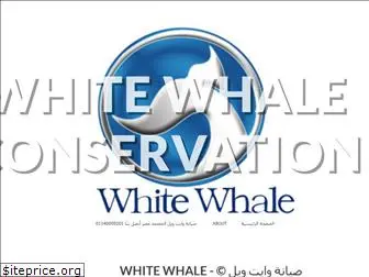 whitewhalecom.wordpress.com