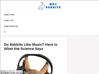 whyrabbits.com