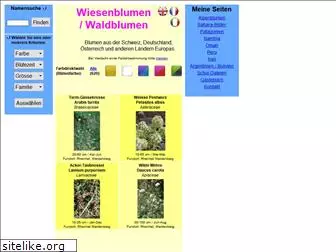 wiesenblumen.ch