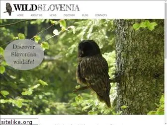 wild-slovenia.com