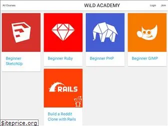 wildacademy.com