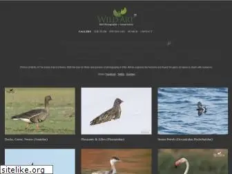 www.wildart.in