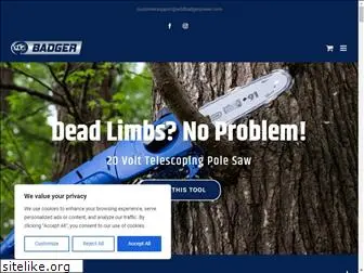 wildbadgerpower.com