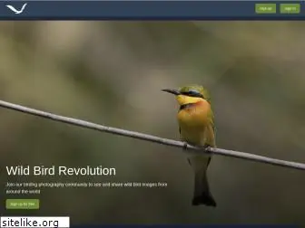 wildbirdrevolution.org