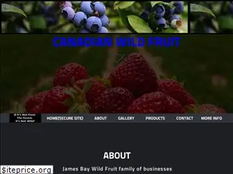 wildblueberries.net