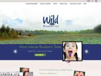 wildblueberryassociation.ca