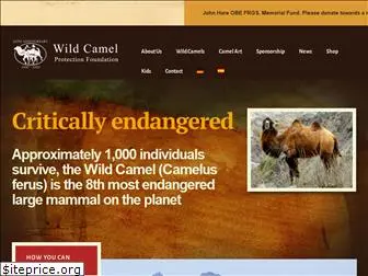 wildcamels.com