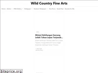 wildcountryfinearts.com